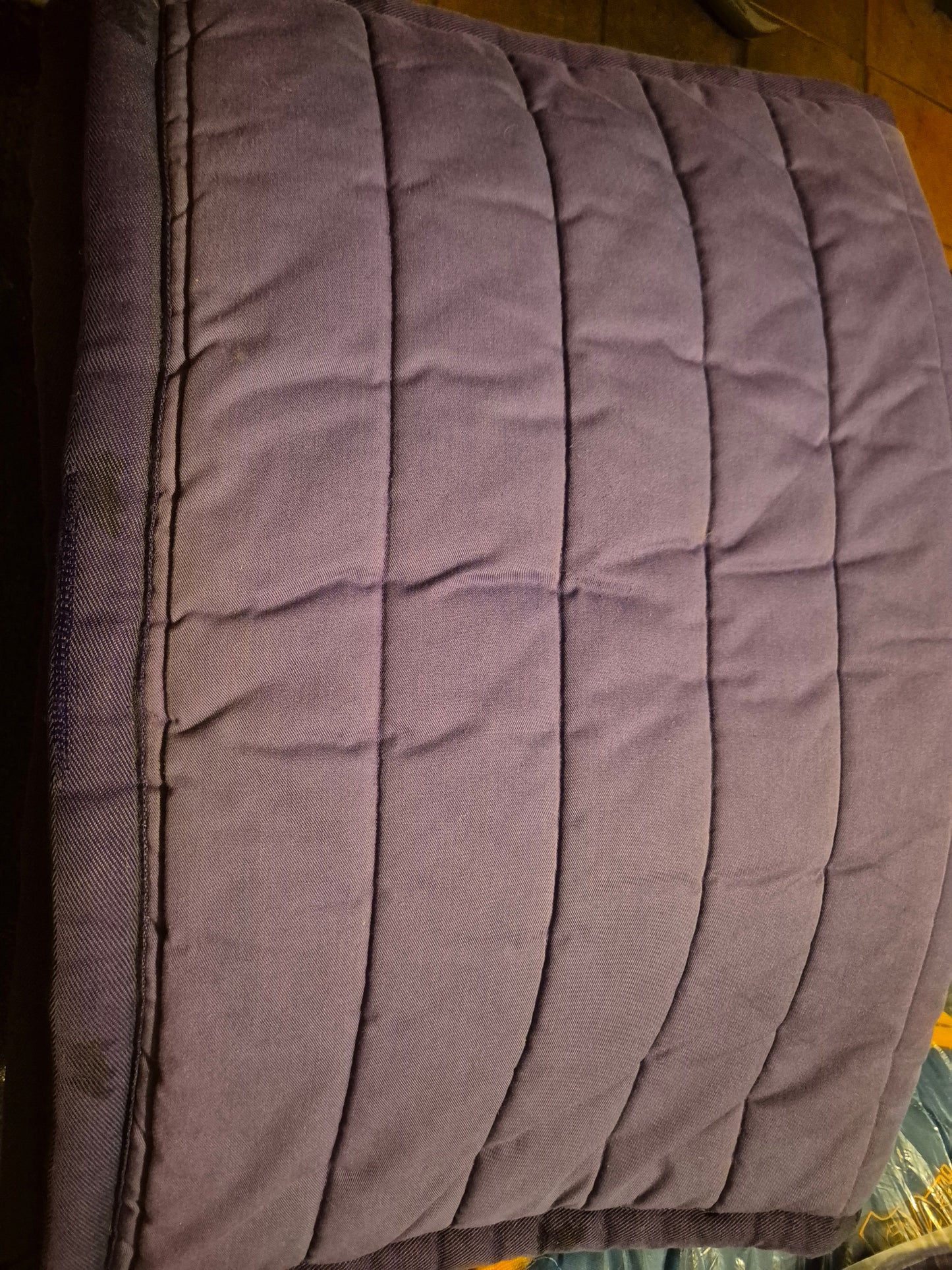 Secondhand Full Purple Polypad (24)