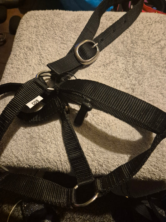 NEW Cob Black Nylon Headcollar  (10)