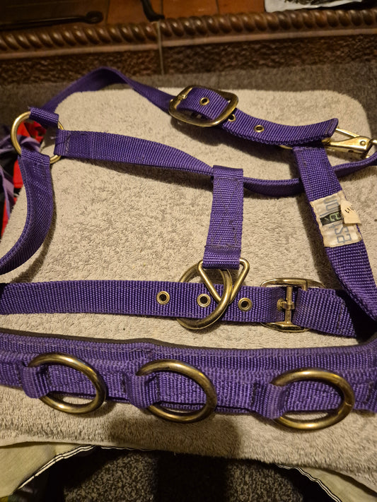 New Full Purple Lunging Cavasson (4)