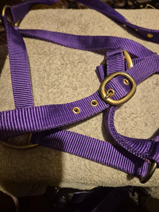 New Full Nylon Purple Headcollar (61)