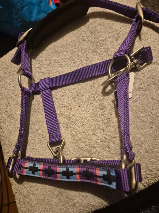 NEW Purple Mini Shetland Headcollar (6)