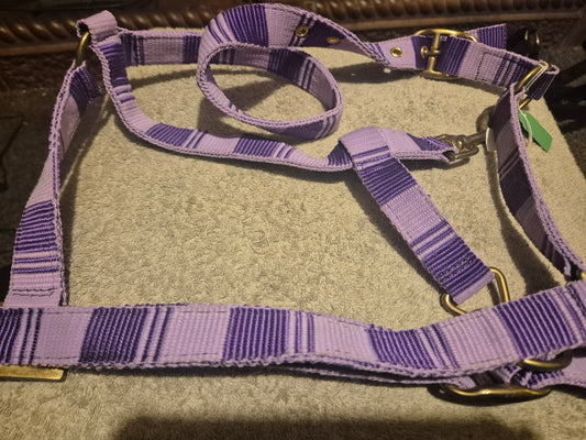 New Purple & Lilac Cob Nylon Headcollar (51)