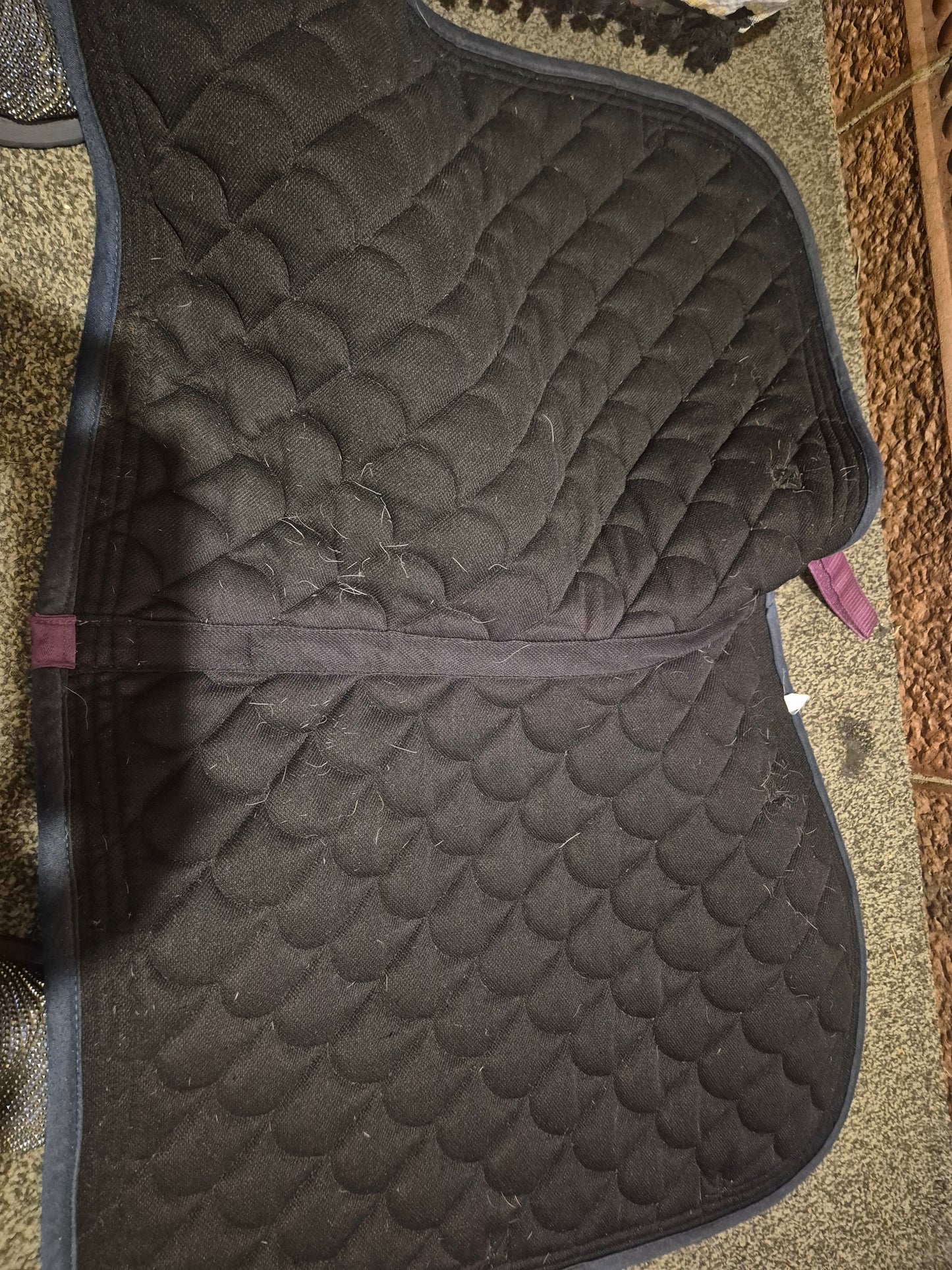 Waldhausen Purple with Navy and white edging Saddlecloth - Full Size (2)