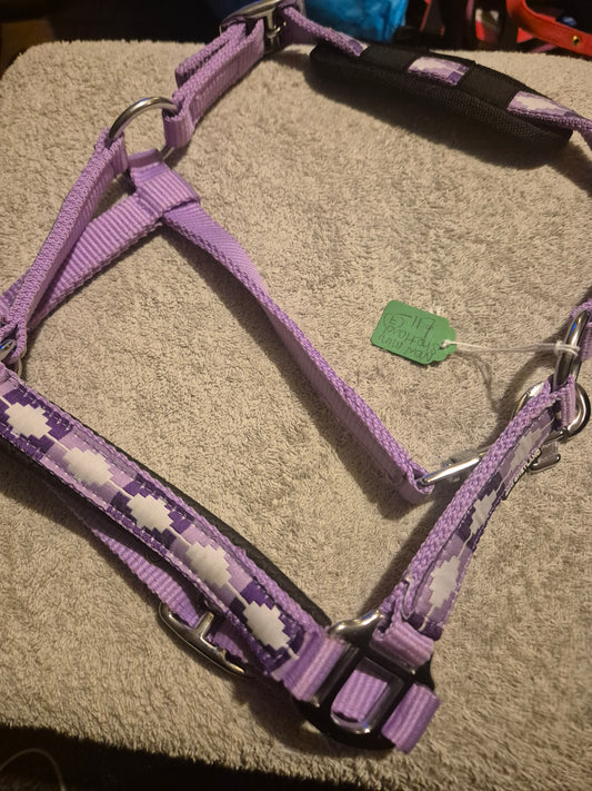 NEW Mini Lilac Shetland Headcollar (7)