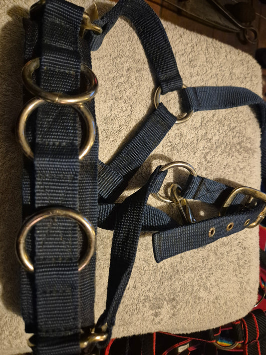NEW Small Pony Navy Lunging Cavasson (2)