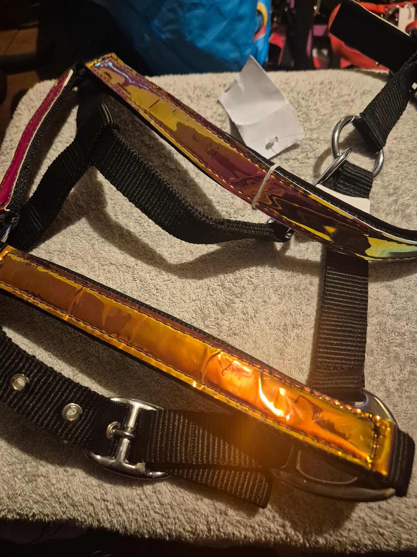 NEW Pony Holographic/Black Padded Headcollar (9)