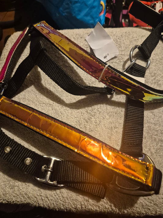 NEW Pony Holographic/Black Padded Headcollar (9)