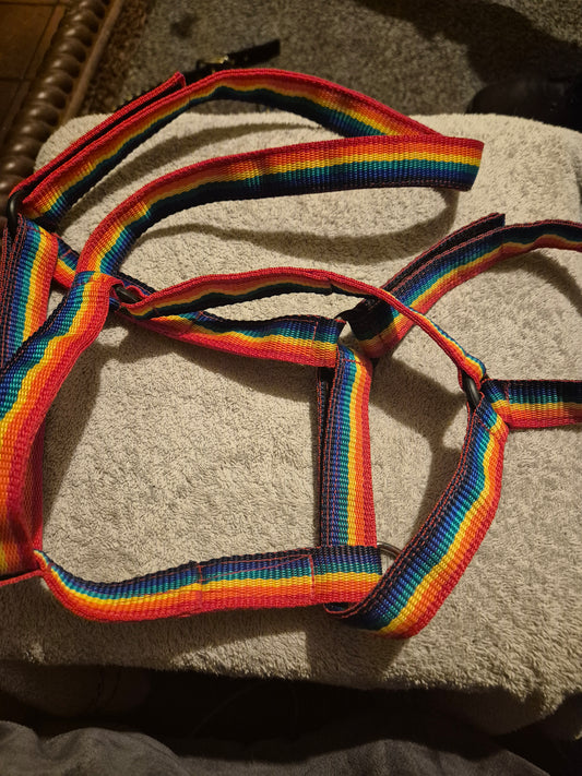 Rainbow Fieldsafe Headcollar- Cob (4)