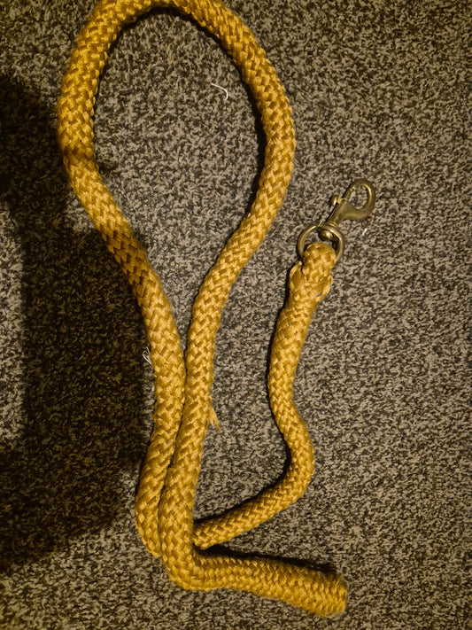 New Gold thick Leadrope (7)