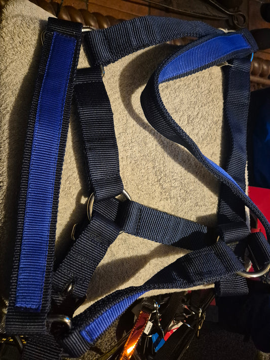 NEW Shire Navy & Black Headcollar (16)