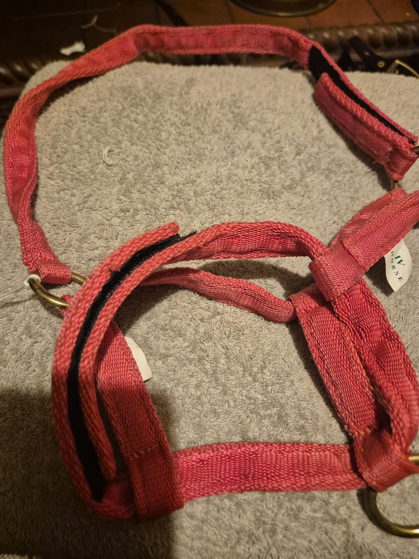 Secondhand IV Red Foal Fieldsafe Headcollar (60)