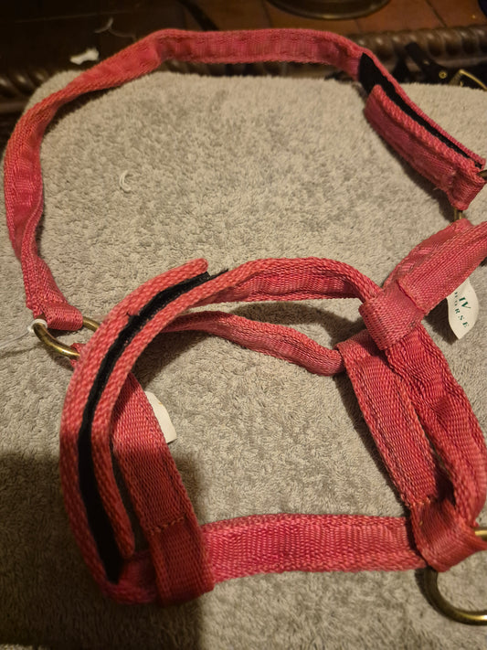 Secondhand IV Red Foal Fieldsafe Headcollar (60)