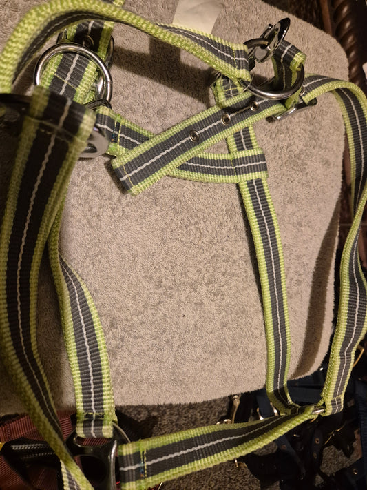 New Cob Lime green & Gray Headcollar (62)