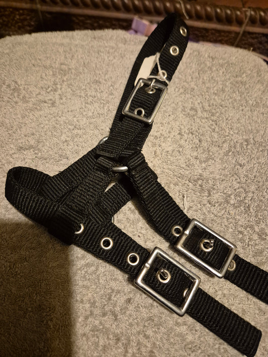 Miniature Black Headcollar (47)