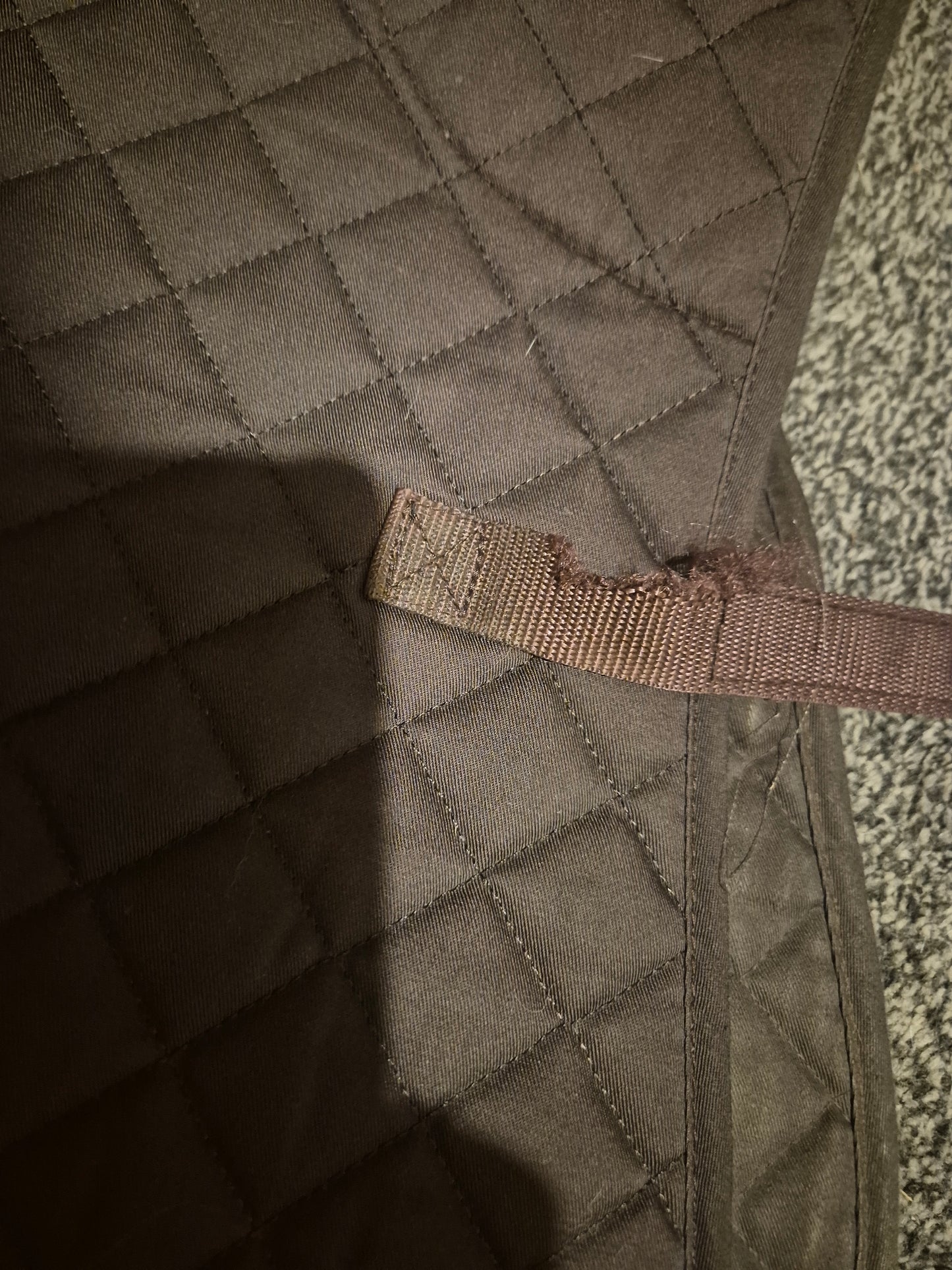 Rhinegold Brown Saddle Cloth - Cob (9)