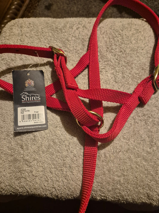 New Shires Red Foal Slip (2)