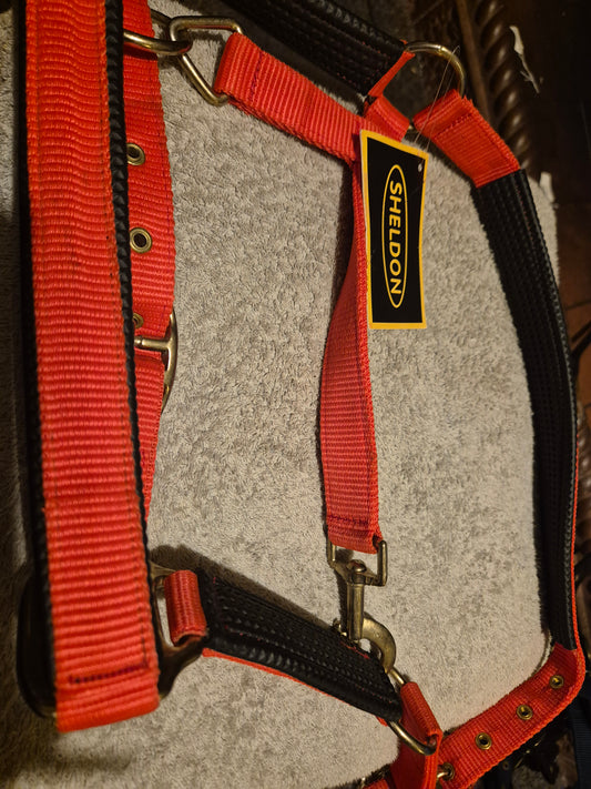 New Sheldon Pony Padded Red Headcollar (63)