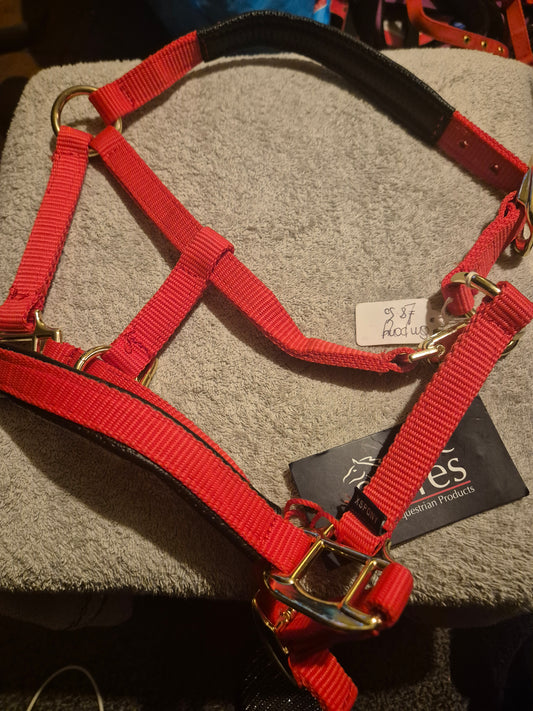NEW Shires Padded XS Pony Red Headcollar (5)